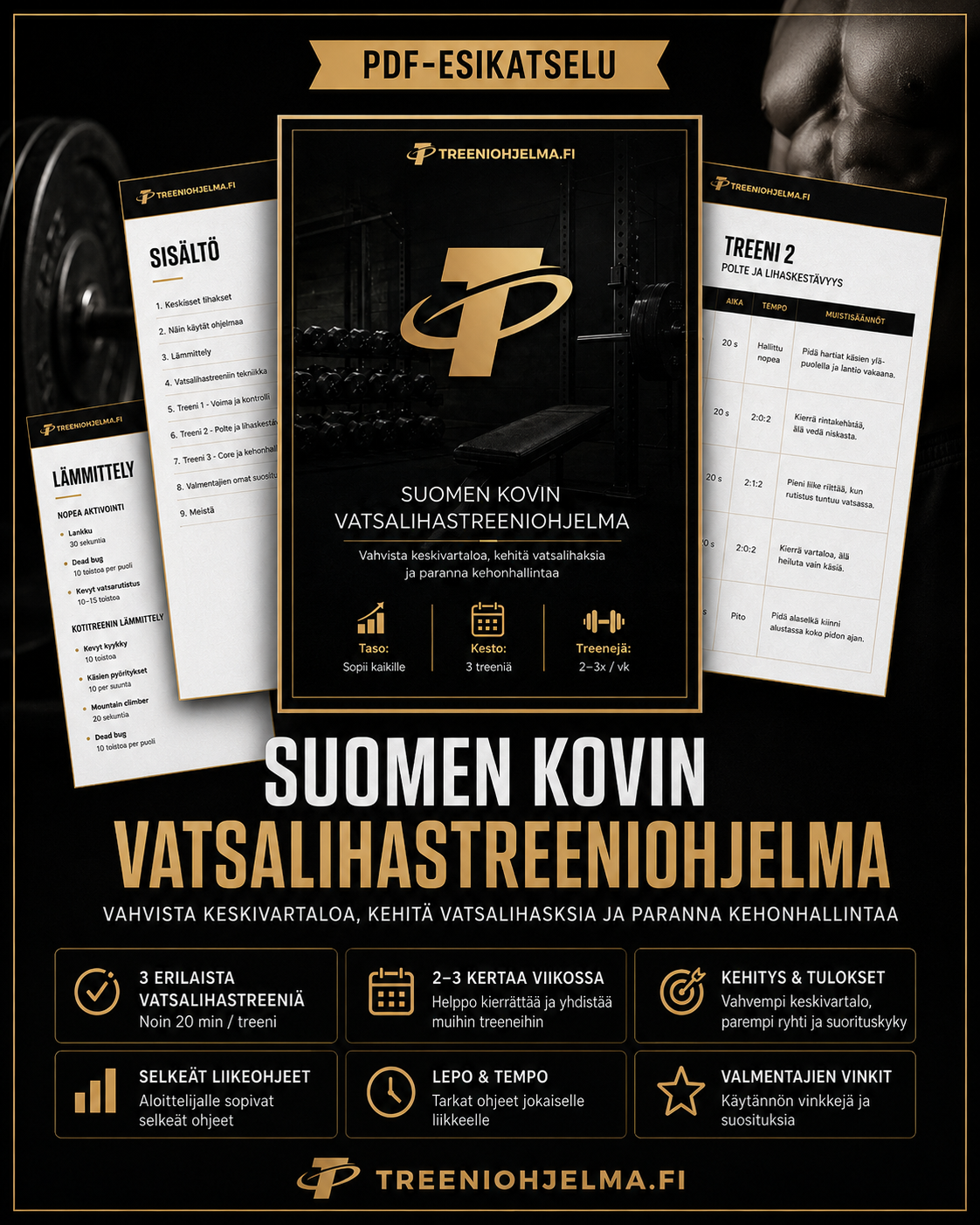 Treeni-ohjelman PDF-esite: Suomen kovin vatsalihastreeni-ohjelma ja sisältö