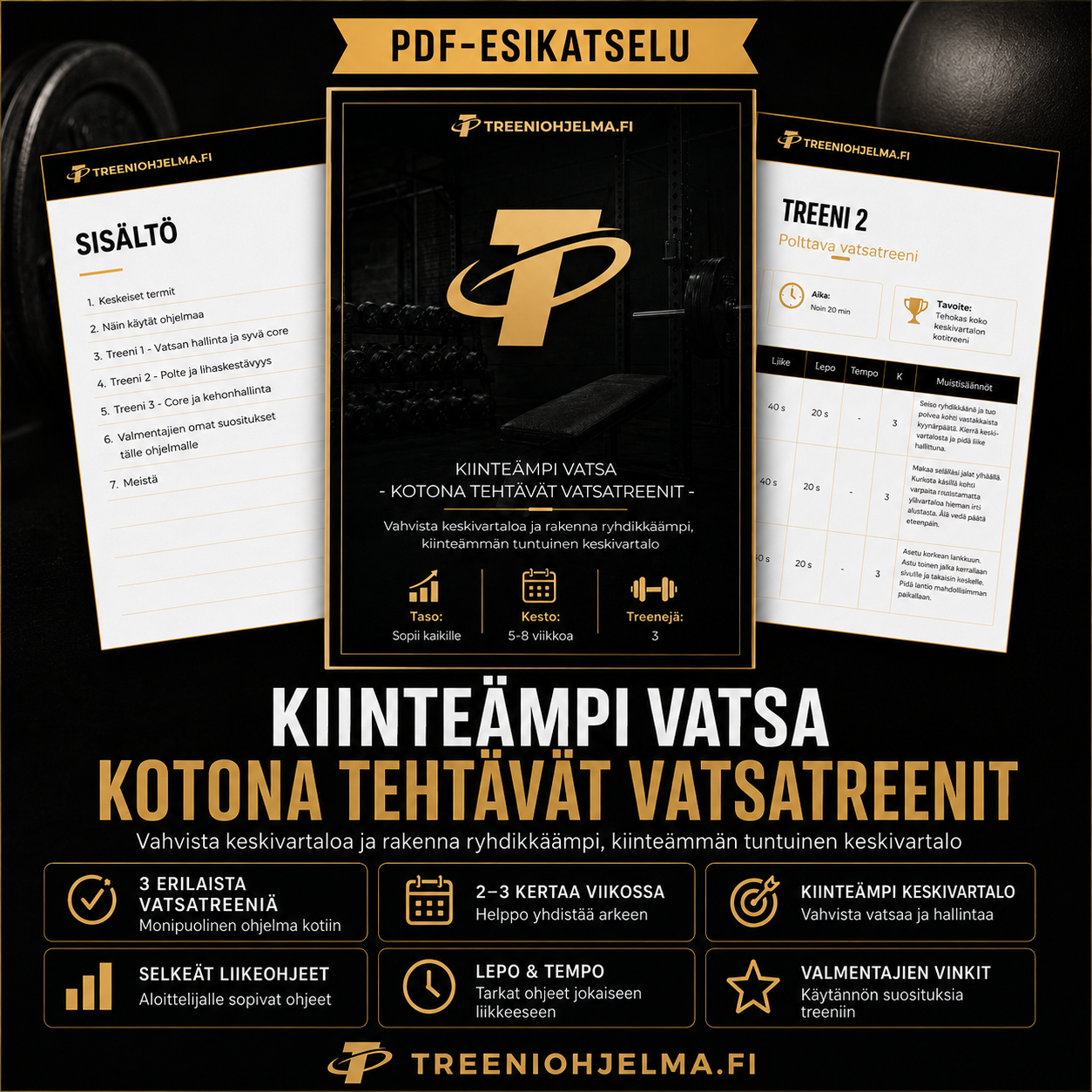 PDF-treeniohjelma “Kiinteämpi vatsa kotona” ja ohjelmasivut