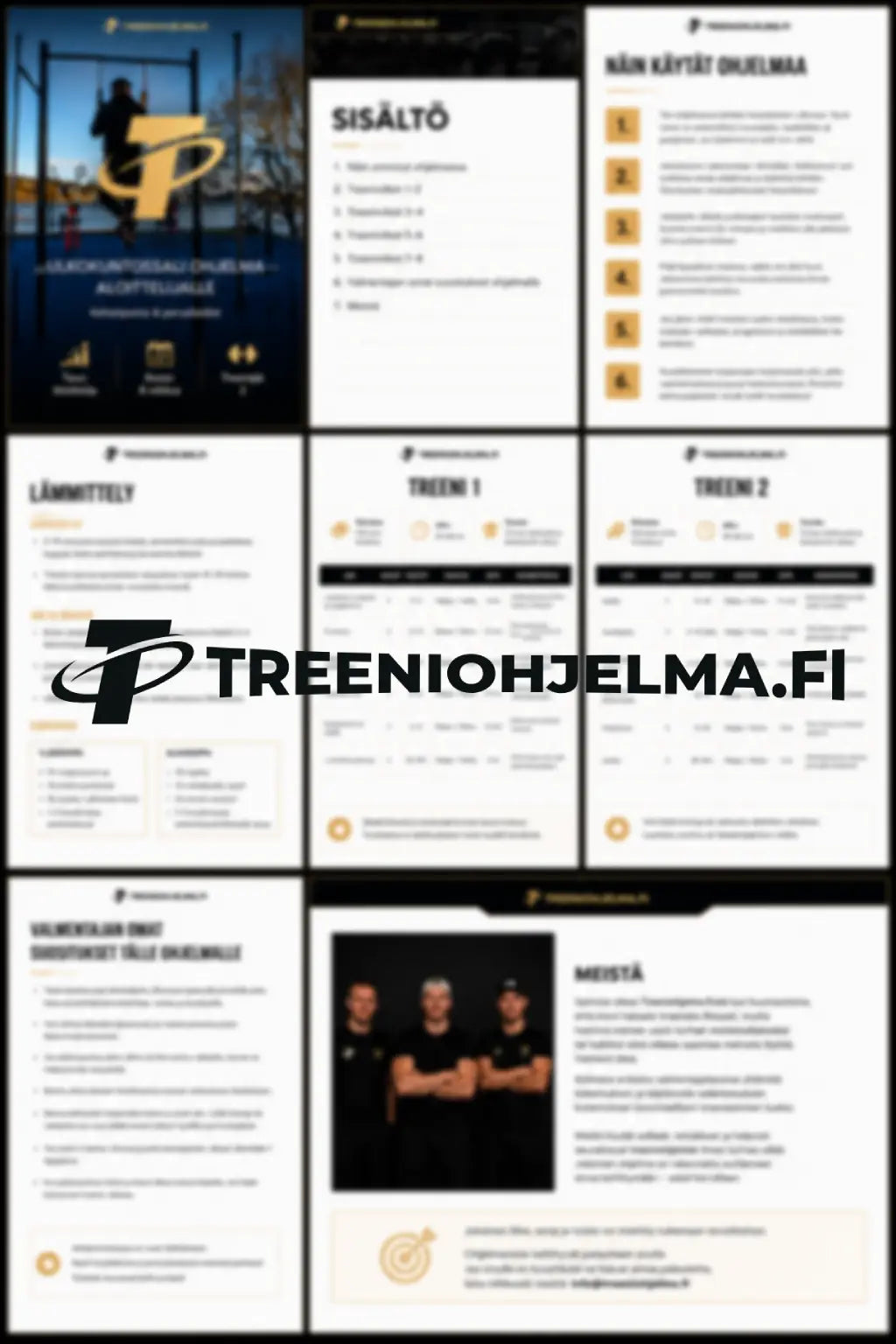 Kehonpainotreeni aloittelijalle - Ulkokuntosaliohjelma
