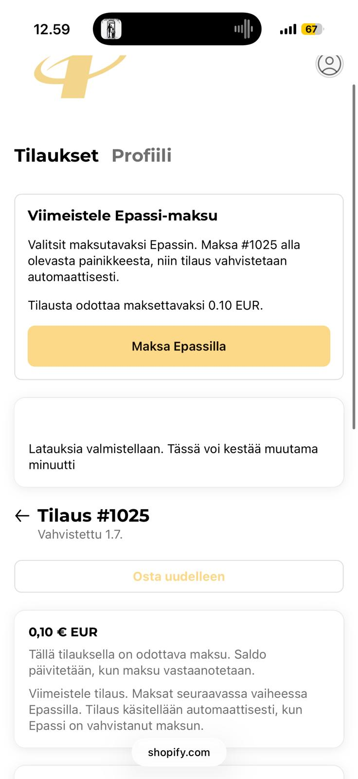 Epassi-maksupainike Treeniohjelma.fi:n tilausnäkymässä